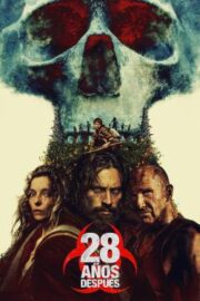 28 Yıl Sonra
