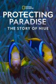 Cenneti Korumak: Niue’nin Hikayesi