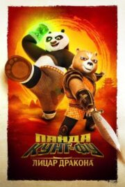 Kung Fu Panda: Ejderha Şövalye