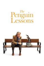 Penguen Dersleri