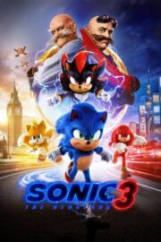Kirpi Sonic 3